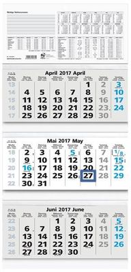 Zettler 953-0015 3-Monats-Wandkalender 953 - 32 x 70 cmm