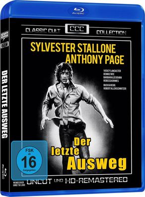 Der letzte Ausweg (Blu-ray) - VZ Handelsgesellschaft - (Blu-r