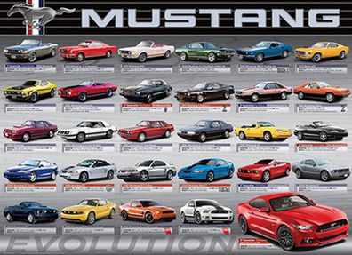 Ford Mustang Evolution 50th Anniversary