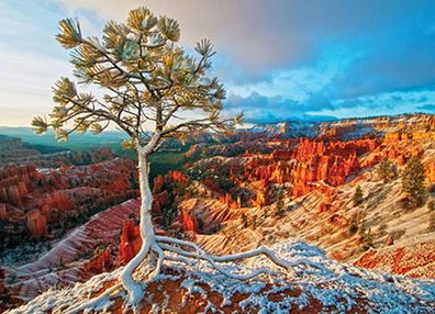Sonnenaufgang im Grand Canyon