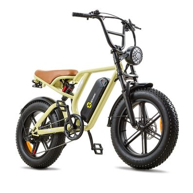 Elektrofahrrad 48V 15Ah, 20-Zoll-Fatbike , Doppelfederung & Dual-Disc-Bremsen E-Bike