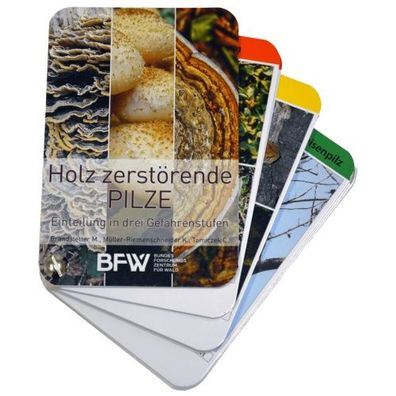Pilzfächer über 44 Baumpilze