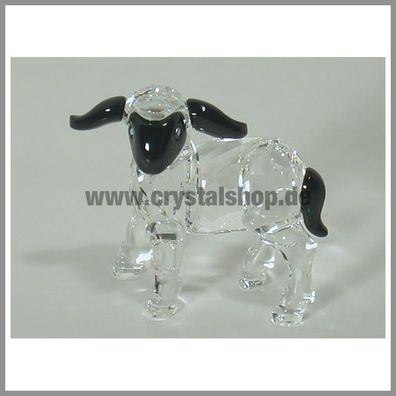 Swarovski Schwarzkopflaemmchen Blackhead Lamb 654305 AP 2007