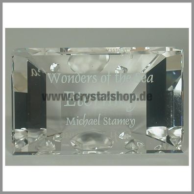 Swarovski Eternity Namensschild plaque 855626 AP 2006