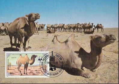 Mongolei 1985 Maximumkarten Satz MiNr. 1707-1710 WWF Hauskamel