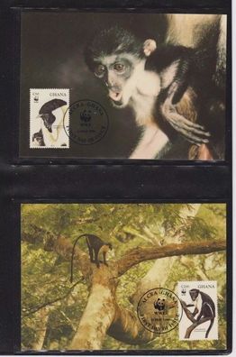 Ghana 1994 Maximum Karten Satz MiNr. 1973-1976 WWF Dianameerkatze