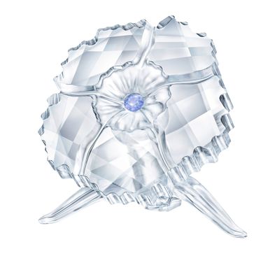 Swarovski SCS Amur Flower Membership Gift 2019 5428547