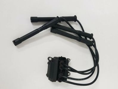 Zündspule Renault Twingo Hüco D4F702 138712 Twingo 1.2 16V Initiale 55 KW 75 PS