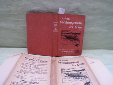 Die Schöpfungsgeschichte des Lebens Wilhelm Bölsche Kosmos Franckh´sche 29. Auflage
