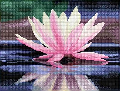 Diamond Dotz - Seerose