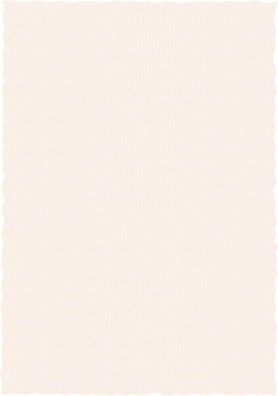 Brunnen Universalpapier Premium mit Struktur und Büttenschnitt A4