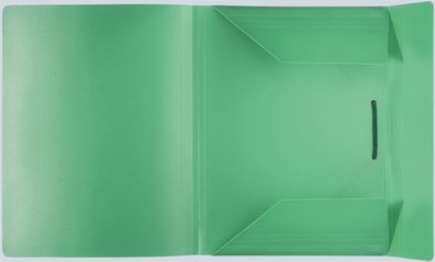 FSY PP-Eckspanner-Sammelbox, Standard, grün, 1 Stück