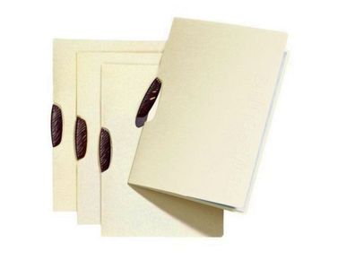 Pagna Bewerbungsmappe Swing Classic 2tlg. beige