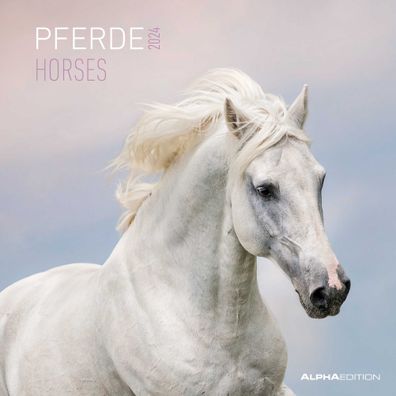 AlphaEdition 103536 Bildkalender Pferde - 30 x 60 cm