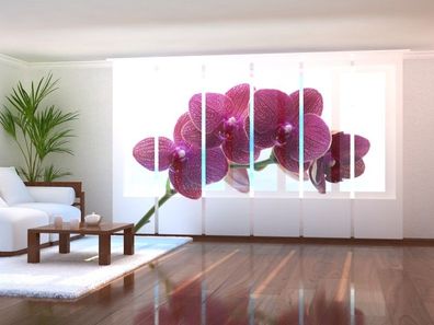 Fotogardine 1-6 tlg. "Lila Orchideenzweig" Schiebegardine, Flächenvorhang mit Blumen
