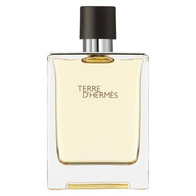 Hermes Terre D'Hermes Eau de Toilette, 100 ml Herrenparfuem