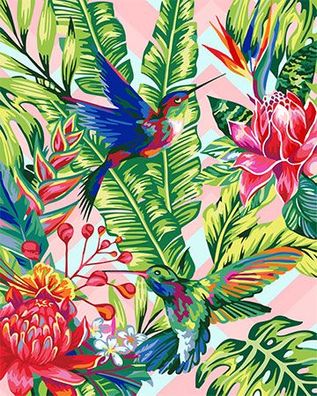 Kolibri