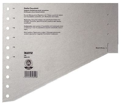 Leitz 1651-00-85 1651 Staffel-Trennblätter - A4 Überbreite, grau