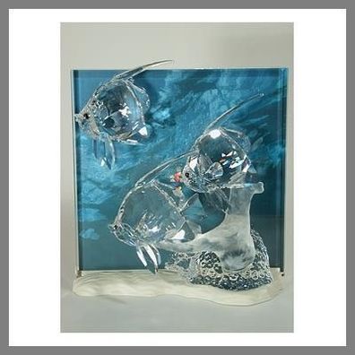 Swarovski Community klar clear 854651 AP 2007