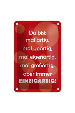 Blechschild 18 x 12 cm Du bist Einzigartig