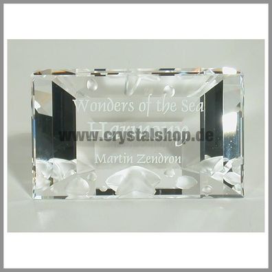 Swarovski Harmony Namensschild plaque 698560 AP 2005