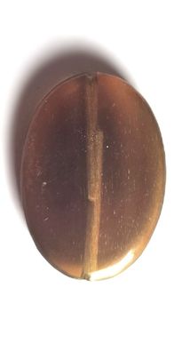 Horn-Perle "Linse" - bernstein - 21 x 18 x 3 mm