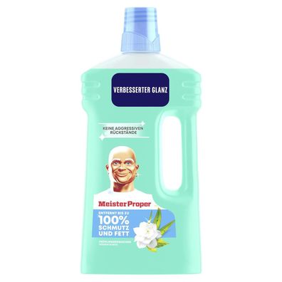 Meister Proper 8700216624688 Meister Proper Allzweckreiniger, 1 l, Frühlingserwachen