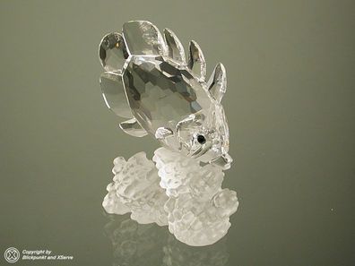 Swarovski Schmetterlingsfisch butterfly fish 162888 AP 1998