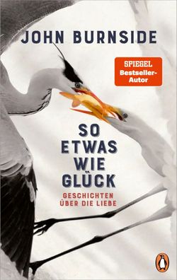 So etwas wie Glück | Geschichten über die Liebe | John Burnside | Buch | 256 S