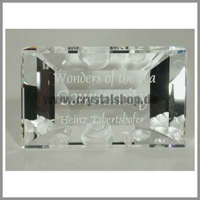 Swarovski Community Namensschild Plaque 898130 AP 2007