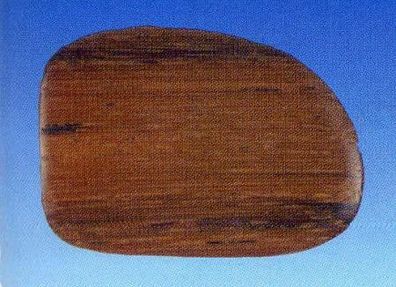 Perle "Scheibe" - helleres braun - 40 x 28 x 4 mm