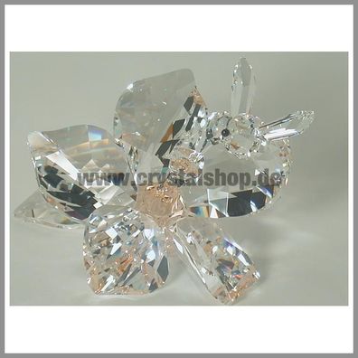 Swarovski Sammlerin Biene Collector Bee SCS 871895 AP 2007