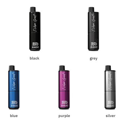 IVG - 2400 Akku 1000mAh (Basisgerät)