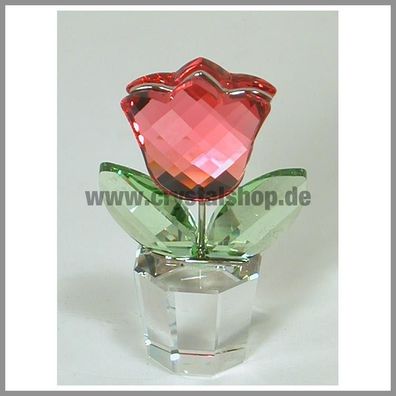 Swarovski Tulpe rosa tulip pink 657111 AP2006