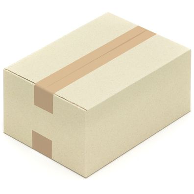 100 Graskartons 300 x 215 x 140 mm Grapapier Kartons Versandkartons aus Graspapier