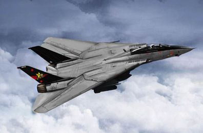 Trumpeter 1:144 3918 F-14B Tomcat