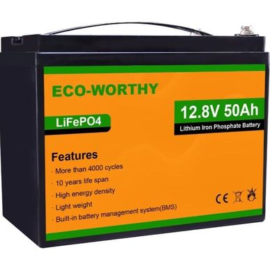 Eco Worthy LiFePO4 Batterie 12V 50Ah - Mobilstrom für Wohnmobile, Boote, Solarsysteme