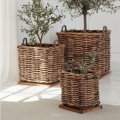 Dickes CL Rattan Korb Cestino braun ca.50cm Teakbodenplatte Pflanzkorb Griffe