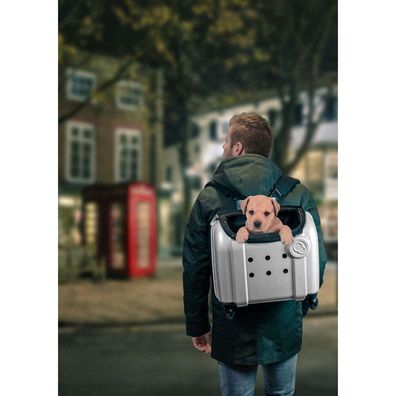 Compaws Trolley London 40 cm Grau