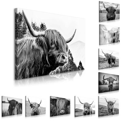 Muralo Leinwandbild CANVAS Schottisches Hochlandrind Kuh Tiere Bergen Natur 3D