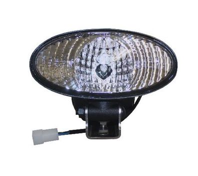 Arbeitsscheinwerfer D1S Xenon 12V