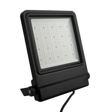 Showtec Cedda 200W LED Floodlight Hellweißer LED-Fluter