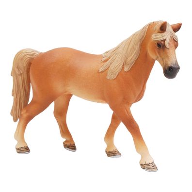 Tennessee Walker Stute