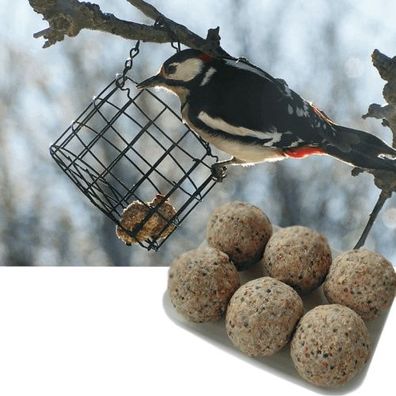 Meisenknödel zur ganzjährigen Fütterung (6 Stk.)