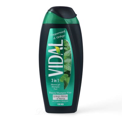 Vidal Pfefferminze & Ginkgo 3in1 Duschgel & Shampoo Herren 250 ml