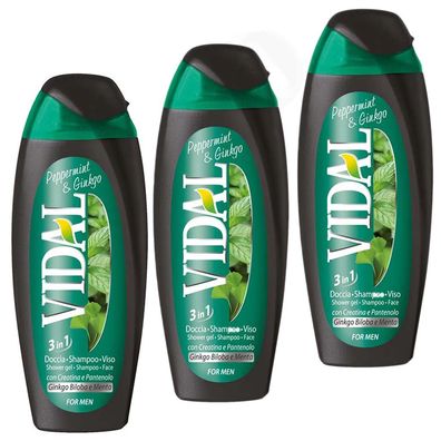 Vidal Pfefferminze & Ginkgo 3 in 1 Duschgel & Shampoo Herren 3x 250 ml