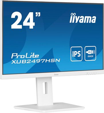 Prolite 24 FHD Business