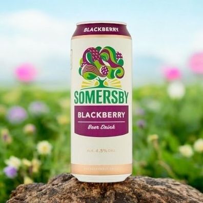 Somersby Blackberry 24 x 0,5l - Biermischgetränk mit Brombeere und 4,5% Vol
