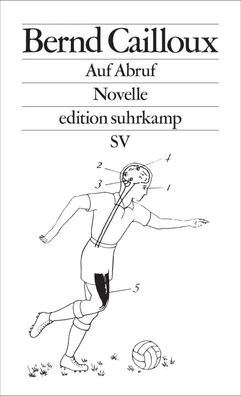 Auf Abruf | Novelle Lakonisch, selbstironisch und hochunterhaltsam | Cailloux
