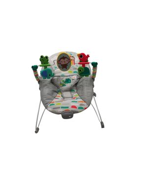 Bright Starts Playful Paradise Comfy Baby Bouncer Sitz 0-6 Monate
